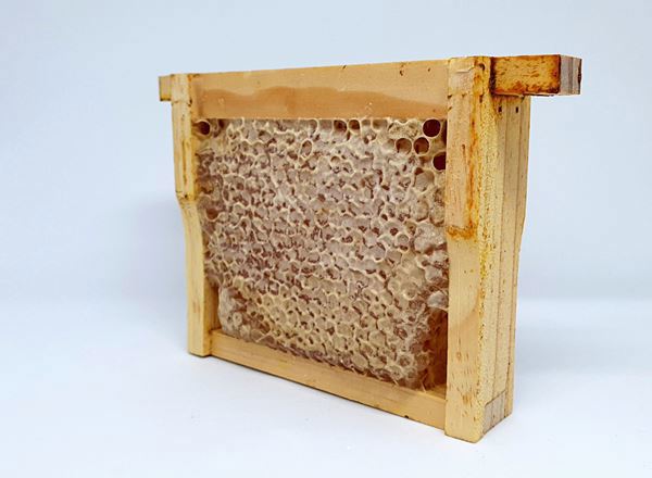 Honeycomb: Wild - MG