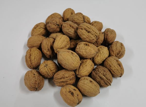 Nuts - Walnuts in Shells Organic FR
