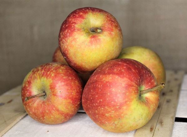 Organic Eating Apples - 500g