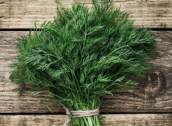 Herb - Dill Leaves LC