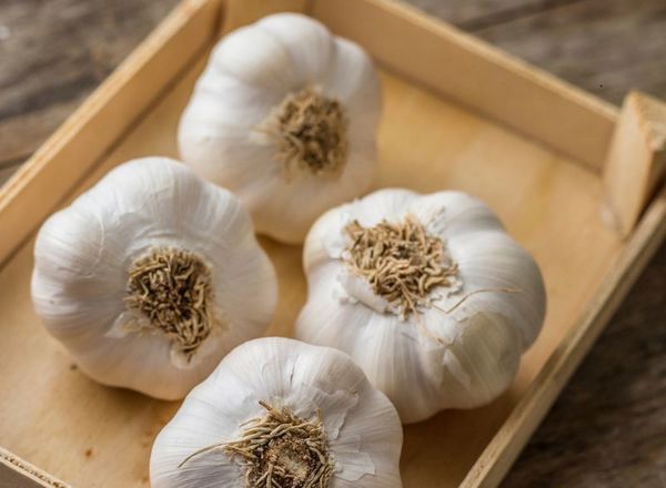 Garlic large (100g+)