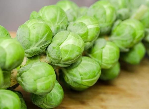 Extra Brussel Sprout Organic