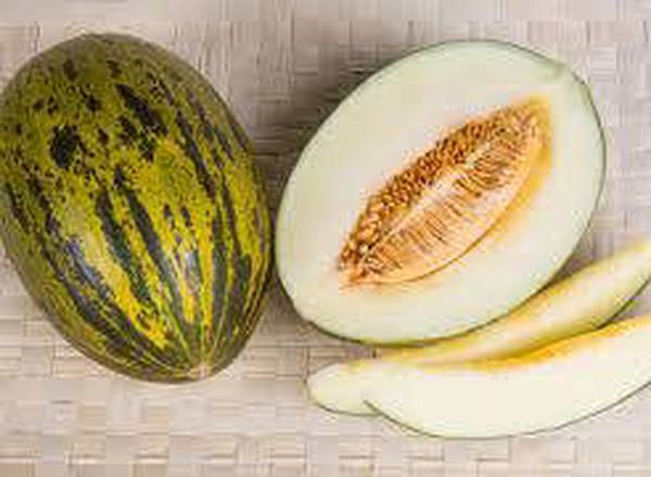 Melon Piel De Sapo Organic ESP