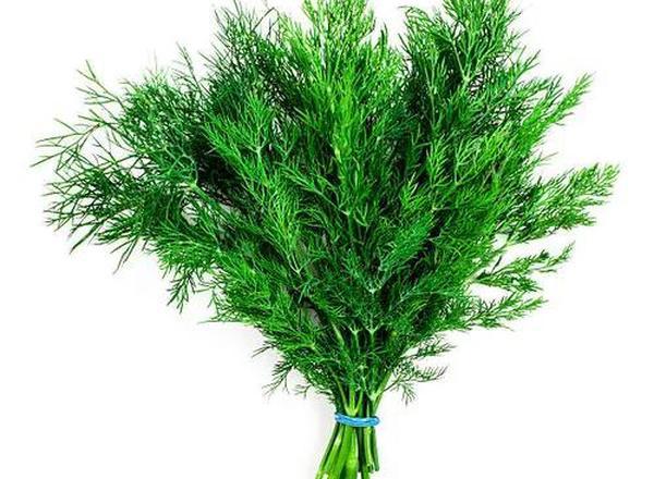Dill - Fresh Leaf