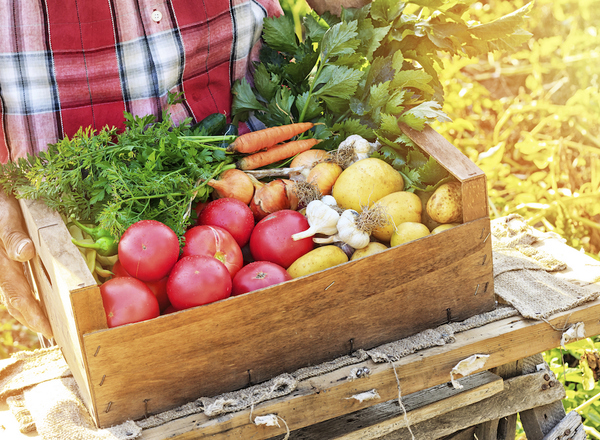 Veg Boxes