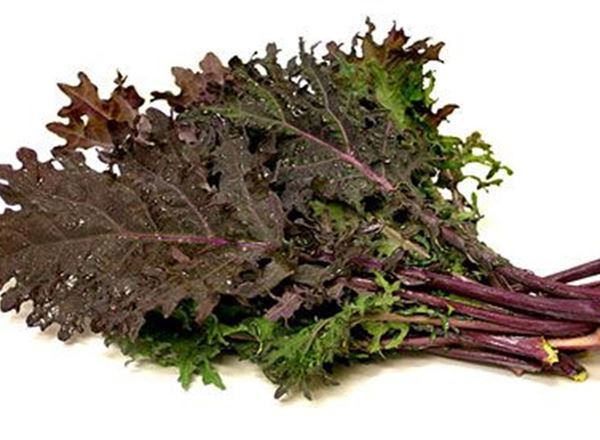 Extra Kale bunch Organic