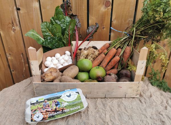 Fortnightly Vegetable Box with Eggs