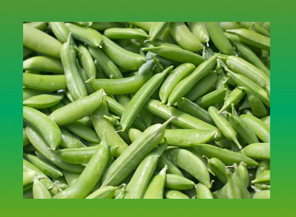 Sugar Snap Peas