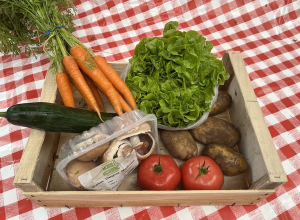 Small Veg Box