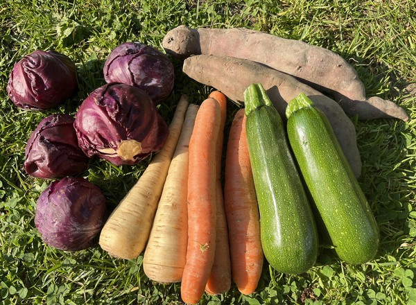 Small Veg Box