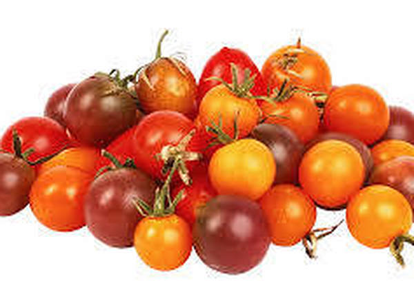 Tomatoes - Organic British Cherry (Mixed Colour)