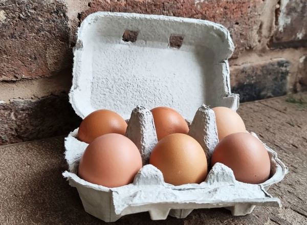 Eggs Organic Medium half-dozen.