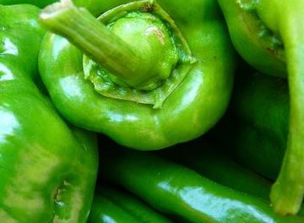 Pepper (Green) - Organic