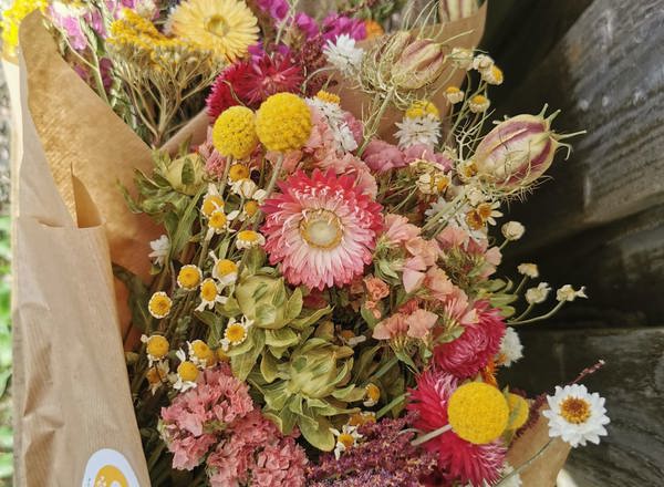 Mixed Dried Flower Bunch