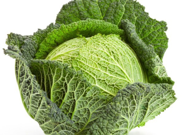 Savoy Cabbage