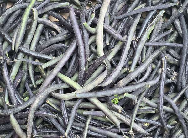 Organic French Beans Purple (250g)