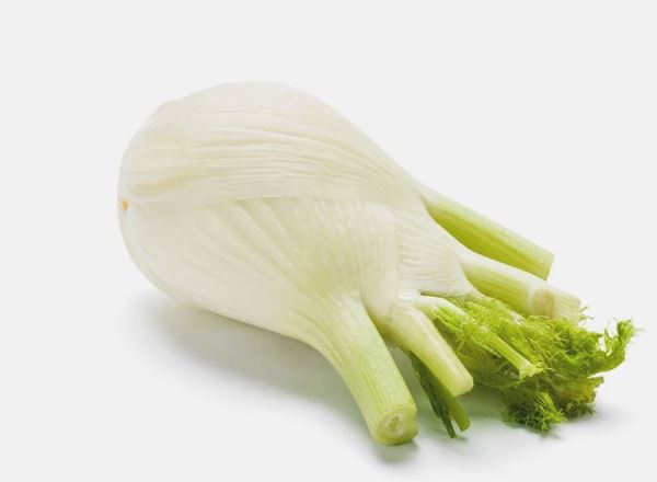 Fennel