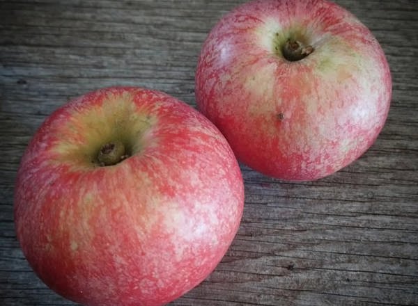 Crimson Beauty of Bath Apples