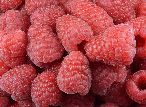Organic Raspberries (125g)