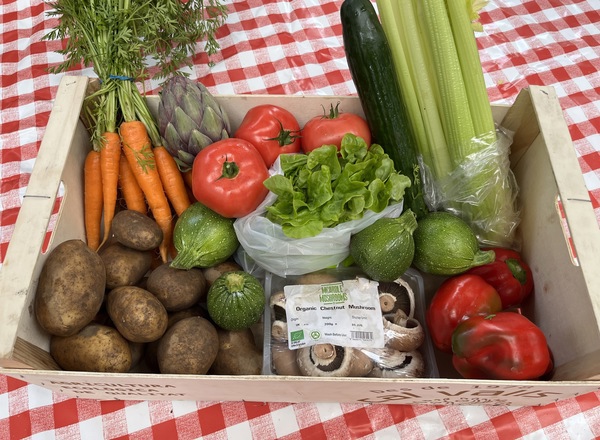 Large Veg Box