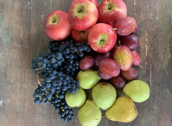 Seasonal Organic Fruit