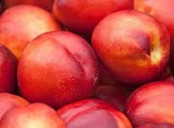 Nectarines/Peaches