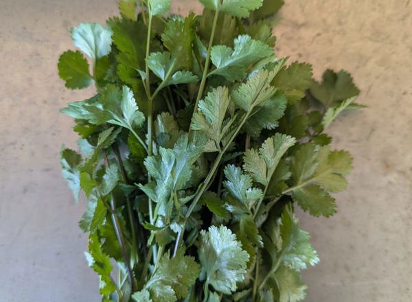 Organic Coriander from Regather Farm 60g
