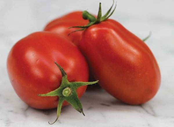 Tomato: Roma Vine
