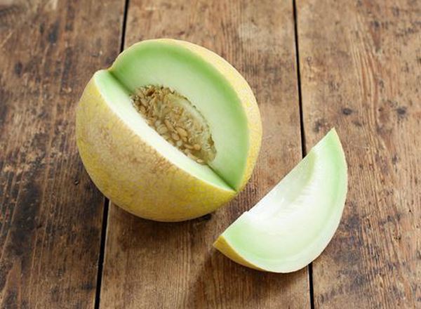 Melon: Galia