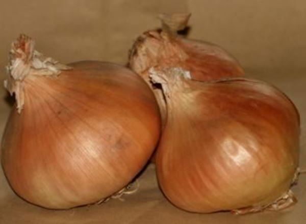 Onions - Bulb 500g