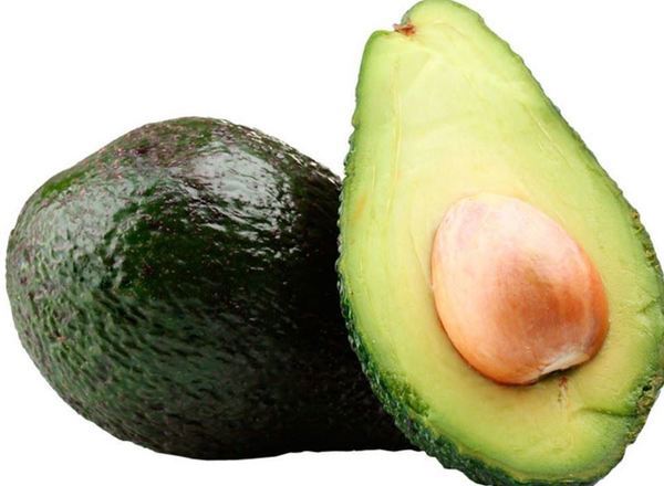 Avocado - Organic EKG