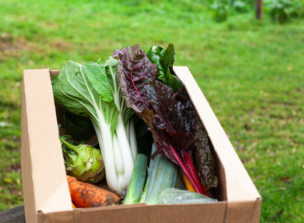 Giant Veg Box Organic
