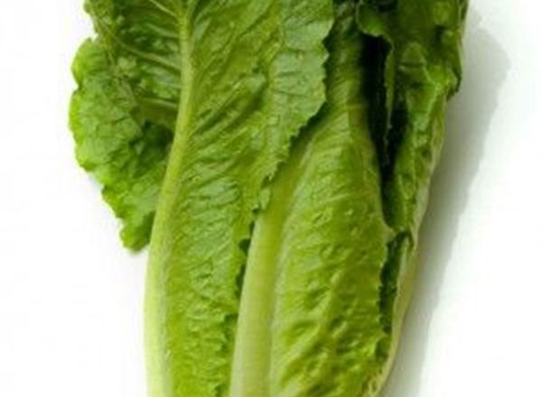Lettuce: Romaine Mini