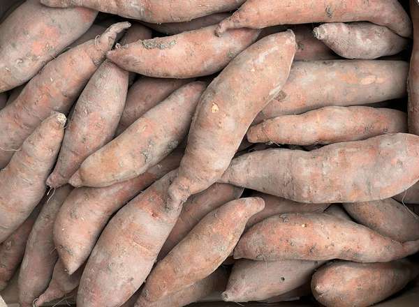 Sweet Potato