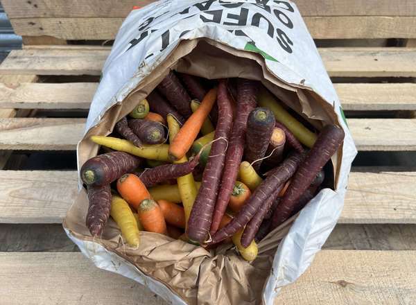 Carrots - British Organic Rainbow