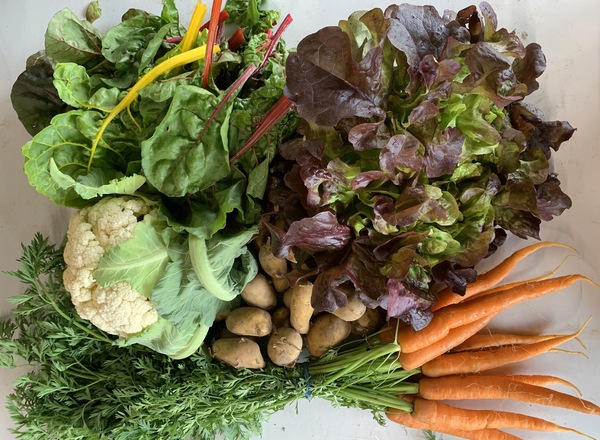 Mini Organic Veg Bag