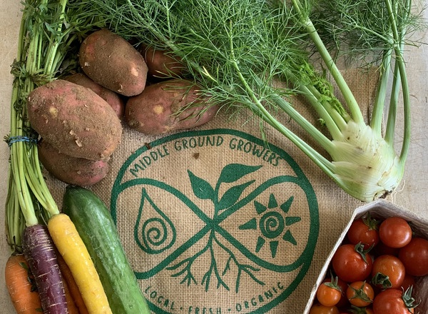 Mini Organic Veg Bag