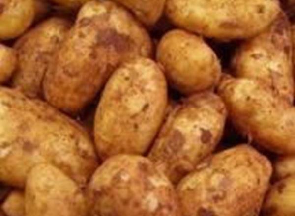 Potatoes - Baking (UK)