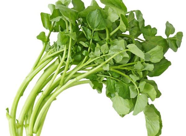 Watercress 100g