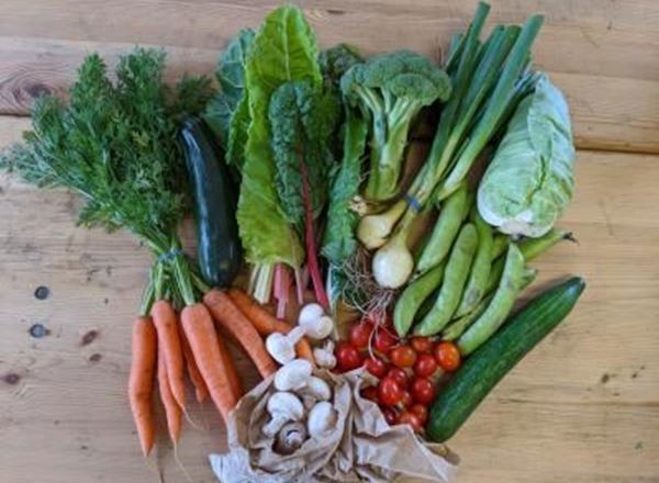 The Plastic Free Veg Box