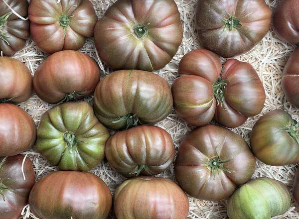 Tomato Black Crimée (700g)