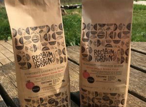 Flour - YQ Wholemeal Bread Flour - Organic (1 kg bag)