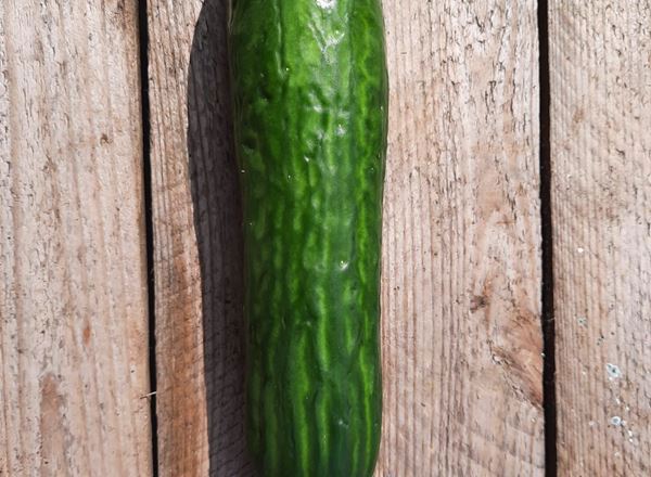 Cucumber 🇪🇸