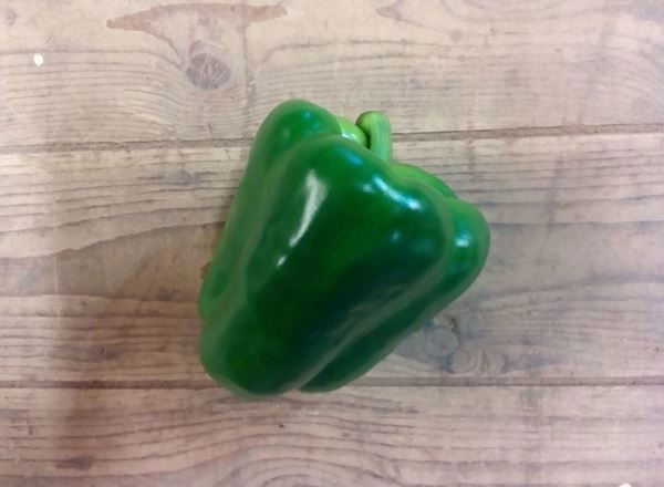 Pepper- Green Bell