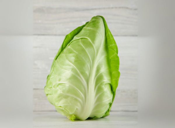 Pointed Cabbage