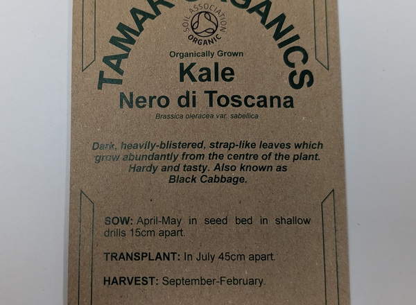 (Seeds) Kale - Nero di Toscana