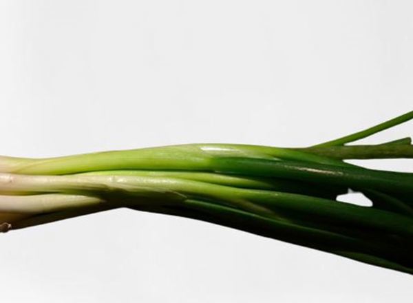 Leeks EKG