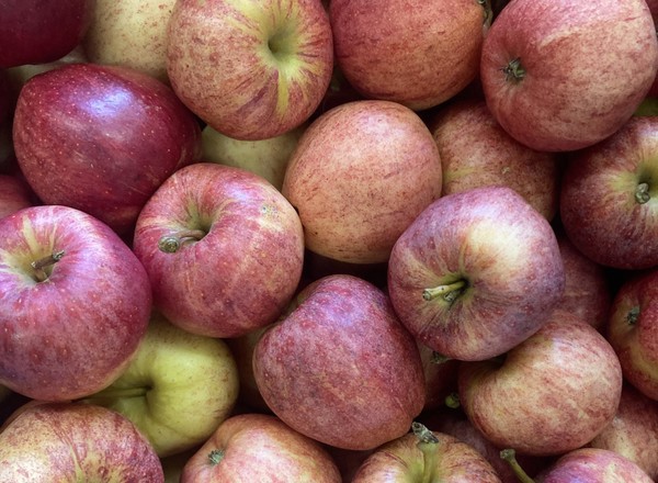 Apples (500g)