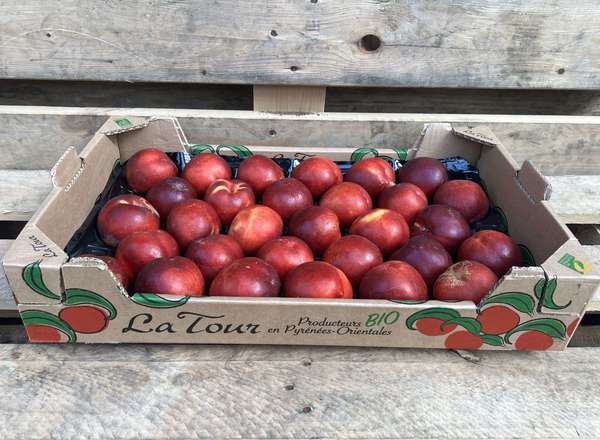 Nectarines - Organic / 4 fruits