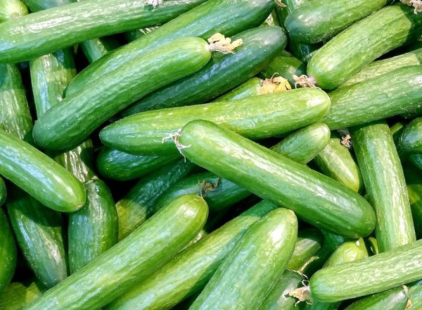 Local Cucumber